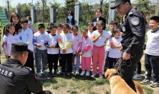 太仓市中小学社会实践基地有什么